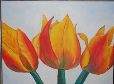 tulipaner